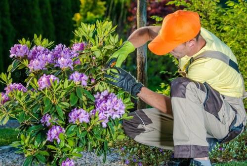 PCI compliant payment security for Tree Surgeons Bayswater