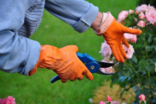 Supplier audit process for ethical tree surgery sourcing