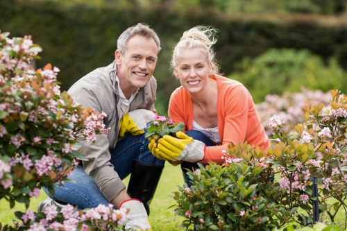 Neat hedge cutting for Bayswater properties with limited access